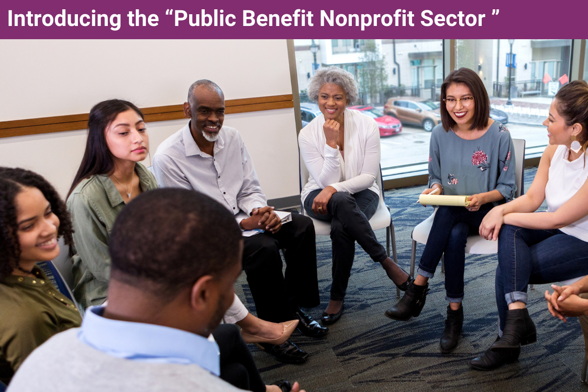 introducing-the-public-benefit-nonprofit-sector-how-a-new-identity