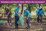Image of volunteers in blue t-shirts and baseball hats in a forest putting trash in green garbage bags