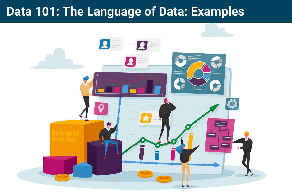Data 101: The Language of Data: Examples | ONN Resource Centre